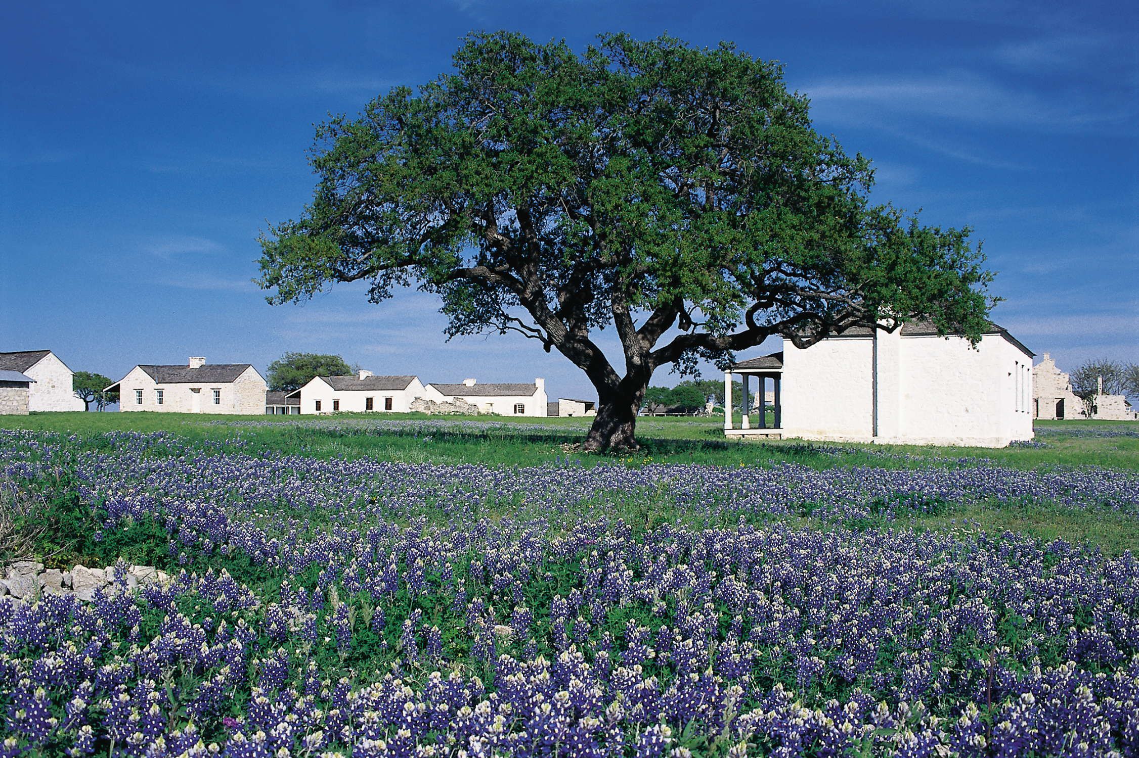 Fort McKavett The State's frontier forts represent a pivotal time in Texas history. Through the program, these authentic sites are promoted to the public through a brochure on the Texas Forts Trail Region. Credit: Texas Parks and Wildlife