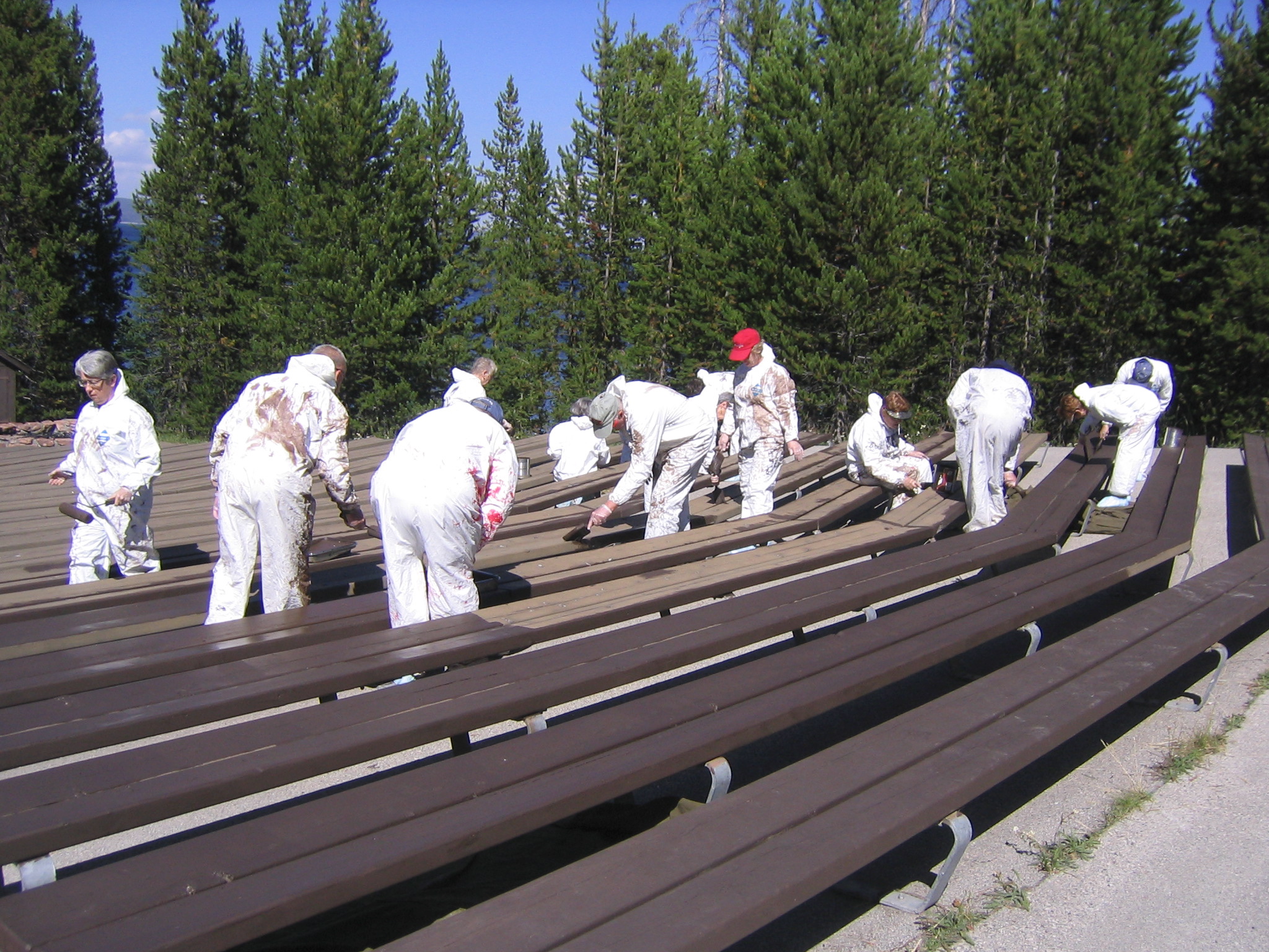 Tauck guest-volunteers have completely scraped and restrained four amphitheaters within Yellowstone. This photo, illustrating the “before” and “after” value of the guest-volunteer’s hard work, underscores the need for preventative maintenance.