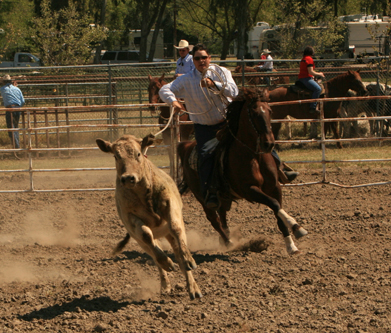 A demonstration of cattle roping during Colusa Western Days, an annual event reflecting the community’s farming and ranching roots