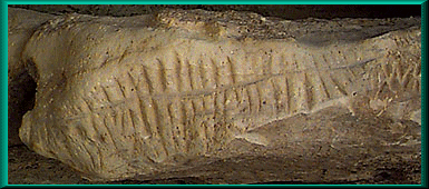 One of the many petroglyphs decorating the walls of Crack Cave in Picture Canyon, Baca County, Colorado