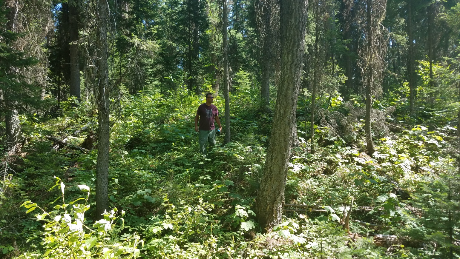 Dean Nicolai, Director of SKC’s Native American Studies Department, assessing the survey area