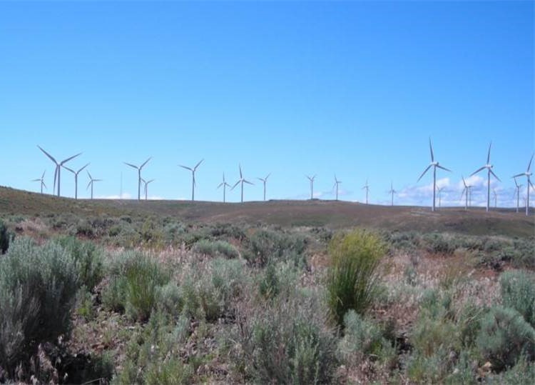 Landscape view of a Wyoming wind farm