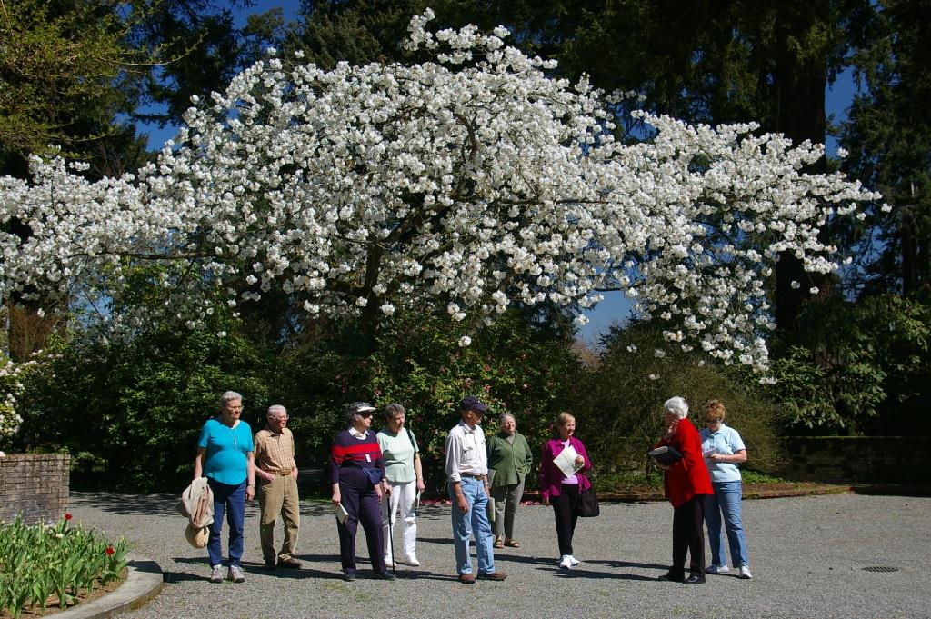 Bernadette Smith, a volunteer docent for more than 20 years, leads a tour of Lakewold Garden.