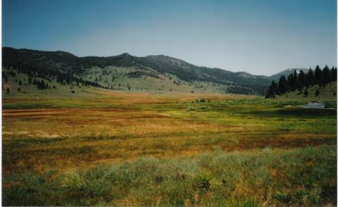 Silver King Canyon