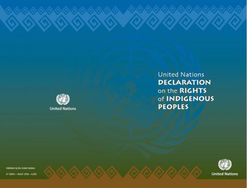 UN Declaration on the Rights of Indigenous Peoples