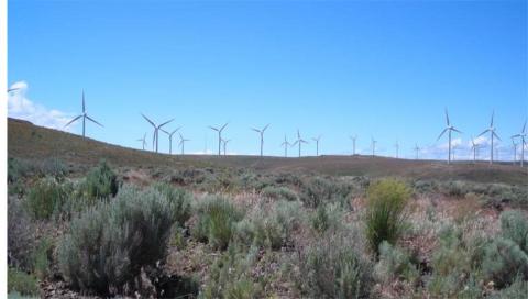 landscape view of Wyoming wind farm