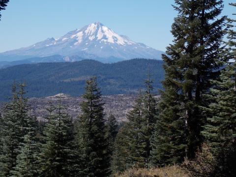 Mount Shasta by Julie Cassidy FS
