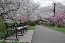 Essex County Branch Brook Park, Newark, NJ