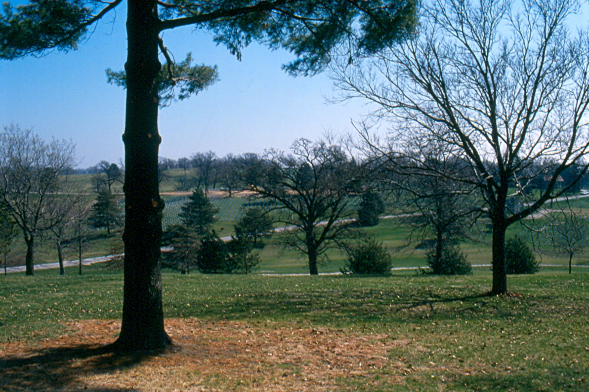 cemetery