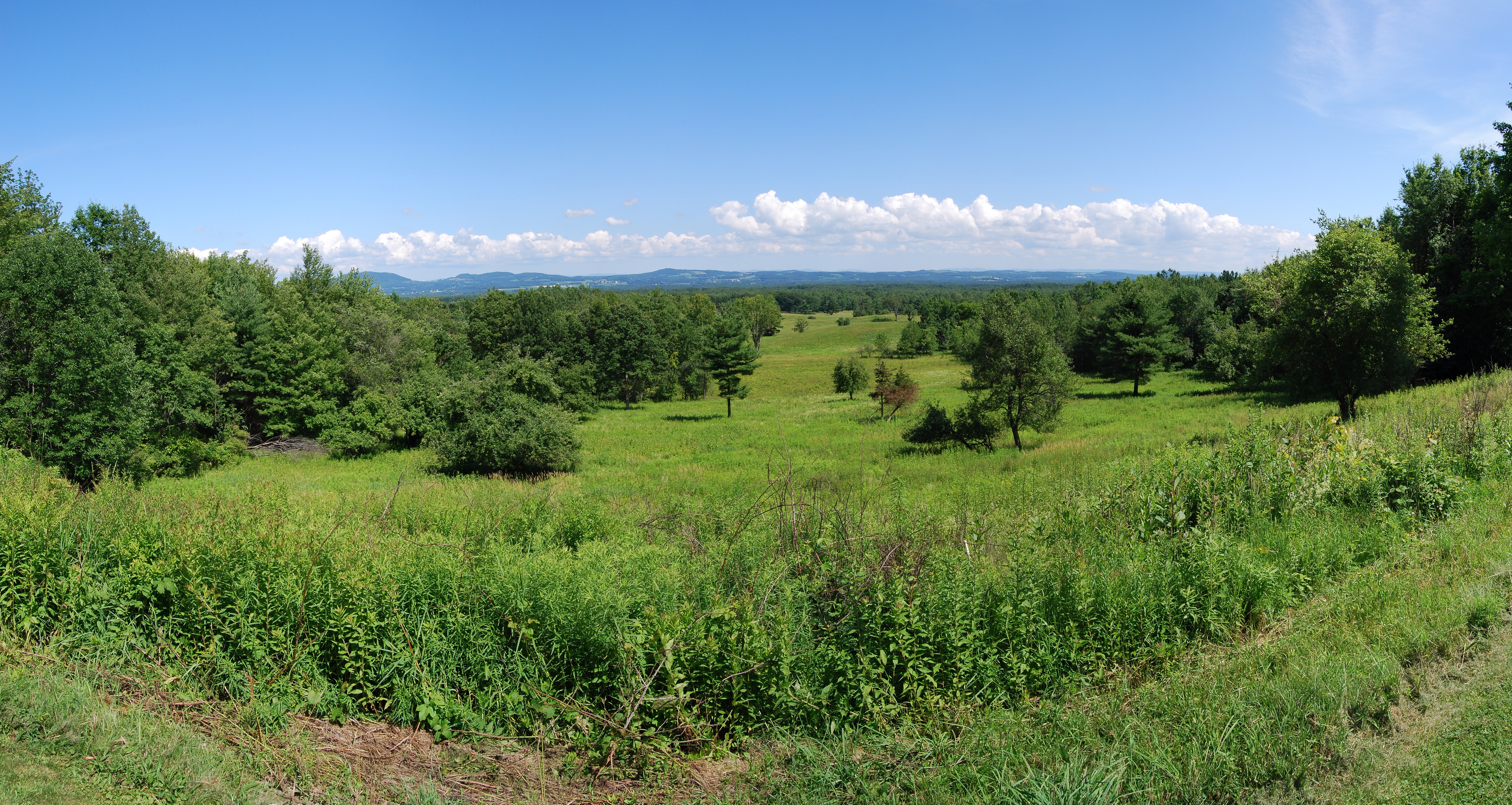 Saratoga battlefield