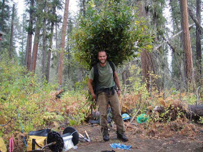 Local materials such as willows were collected for erosion control