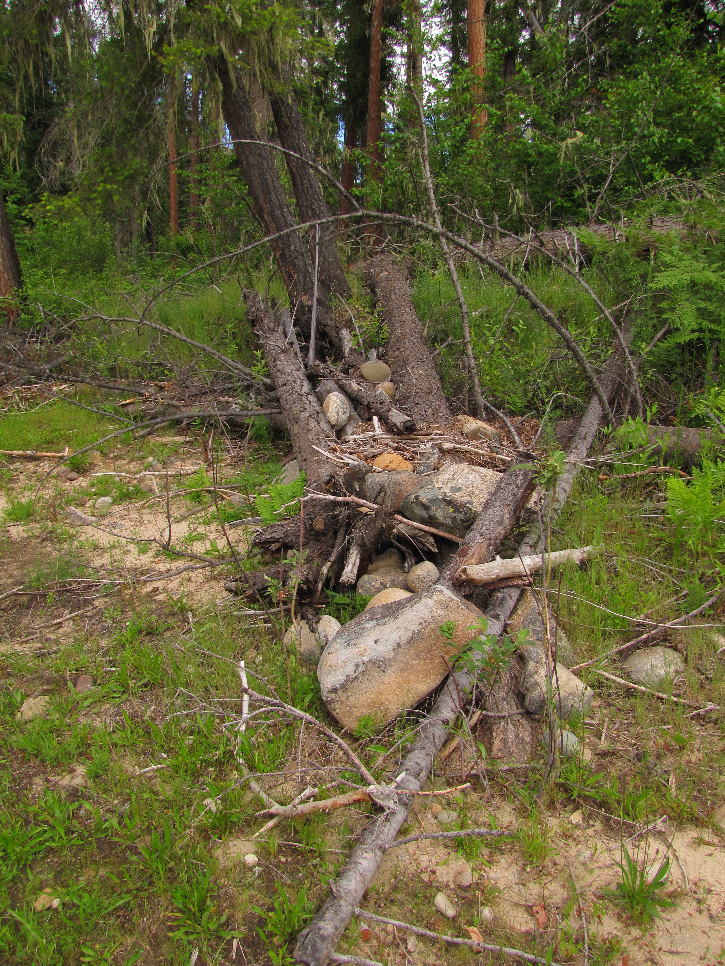 Log protective weirs