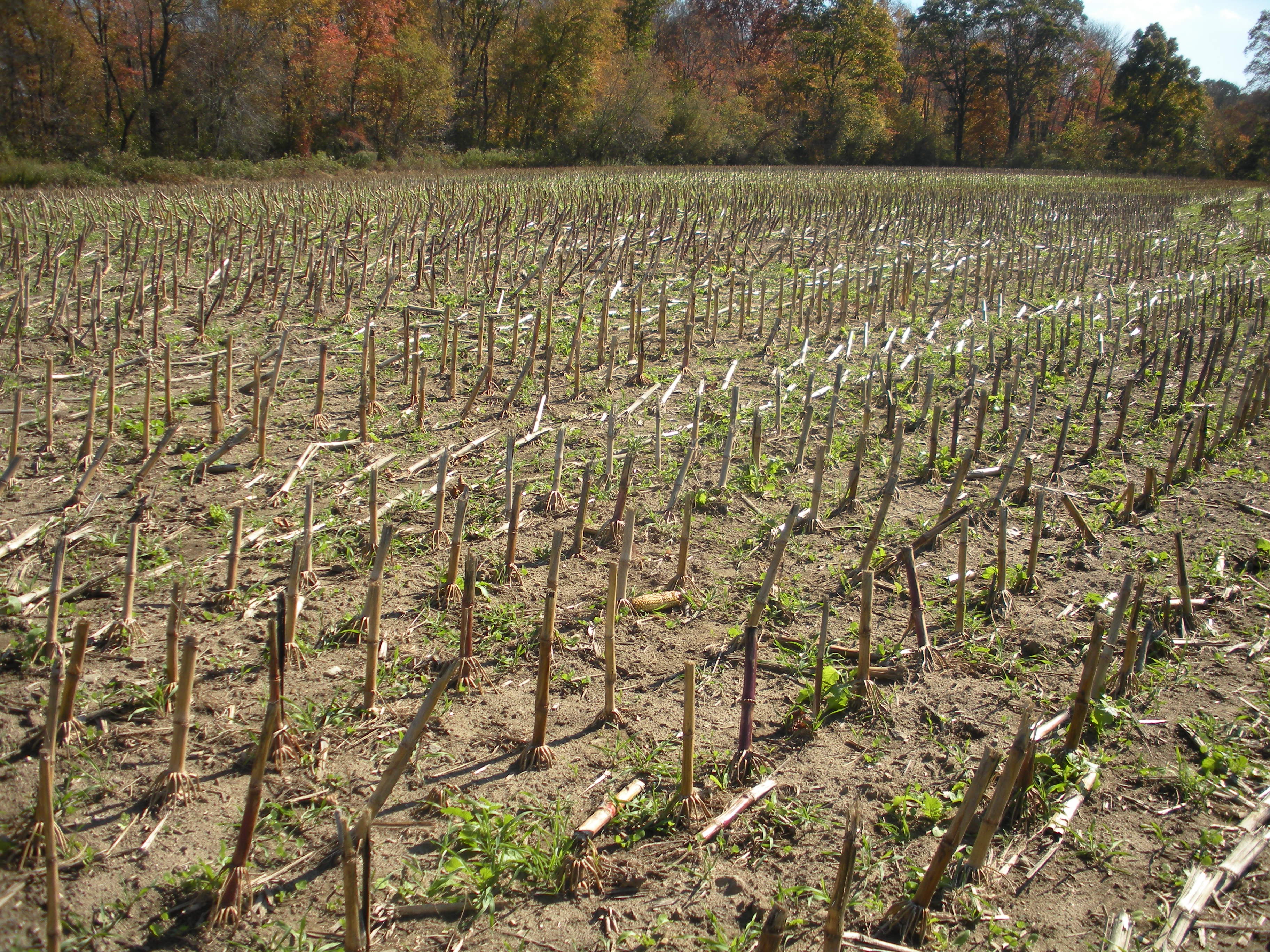 Soil Health Tour