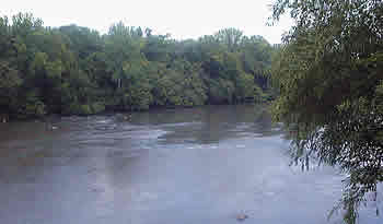 fish dam weir