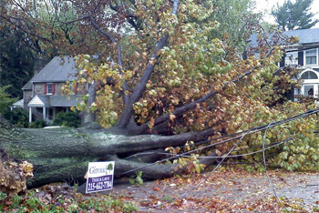 Damage from Hurricane Sandy in Wyncote, Cheltenham Township, Pennsylvania, USA (wikipedia)