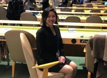 Emily Choi at the United Nations